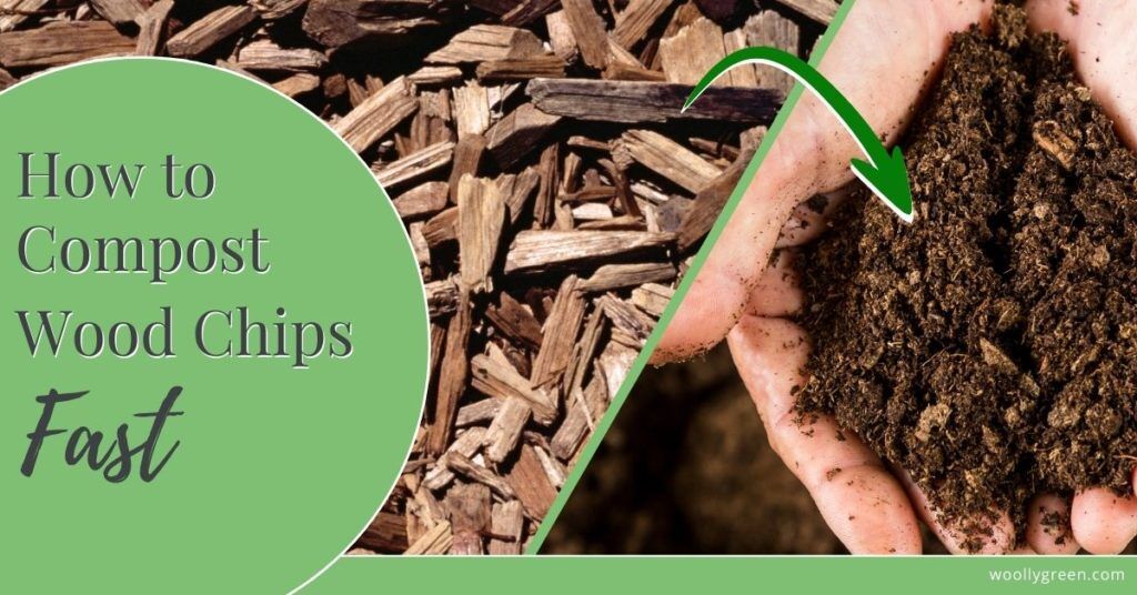 how-to-compost-wood-chips-fast-end-slow-woodchip-composting