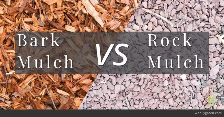 Bark Mulch Vs Rock Mulch - Which Is Best For Your Garden?